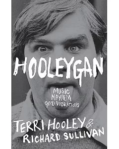 hooleygan: Music, Mayhem, Good Vibrations