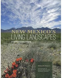New Mexico’’s Living Landscapes: A Roadside View