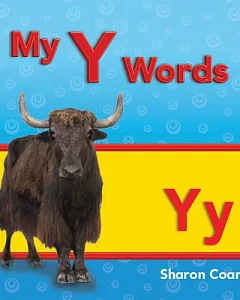 My Y Words: More consonants, Blends, and Diagraphs