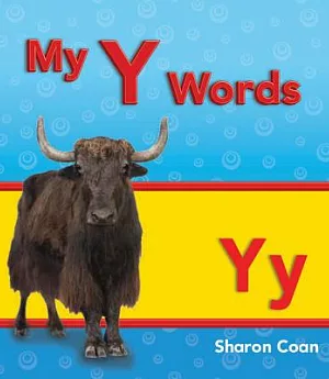 My Y Words: More Consonants, Blends, and Diagraphs