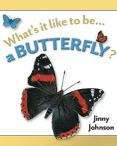 What’s it Like to be a Butterfly?