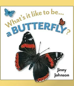 What’s it Like to be a Butterfly?