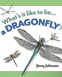 Whats it Like to be a Dragonfly?