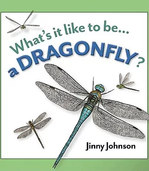 Whats it Like to be a Dragonfly?