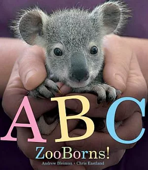 ABC Zooborns!