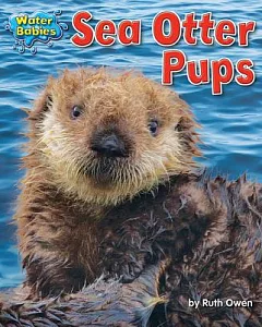 Sea Otter Pups