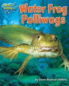 Water Frog Polliwogs