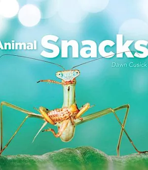 Animal Snacks