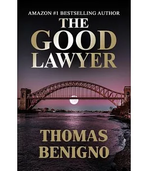 The Good Lawyer