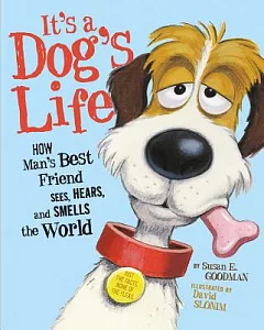 It’s a Dog’s Life: How Man’s Best Friend Sees, Hears, and Smells the World
