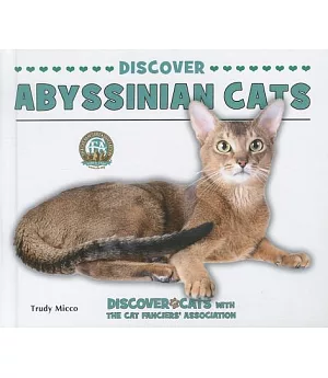 Discover Abyssinian Cats