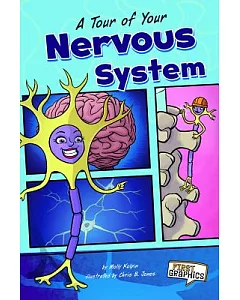 A Tour of Your Nervous System
