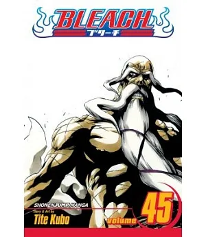 Bleach 45