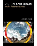 Vision and Brain: How We Perceive the World