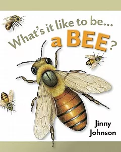 What’s It Like To Be A Bee?