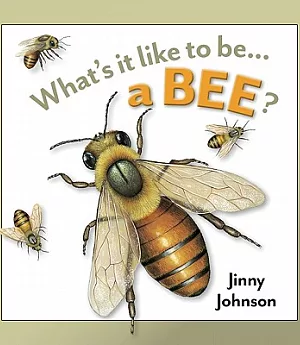 What’s It Like To Be A Bee?