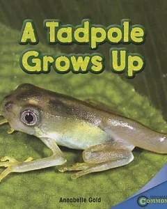 A Tadpole Grows Up