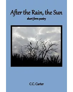 After the Rain, the Sun: Short Form Poetry