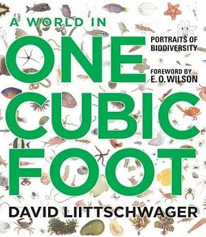 A World in One Cubic Foot: Portraits of Biodiversity