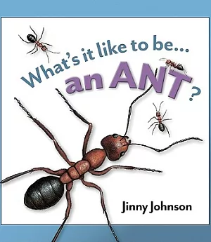 What’s it Like to be an Ant?