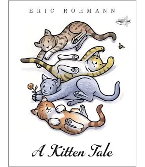 A Kitten Tale