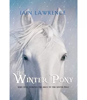 The Winter Pony