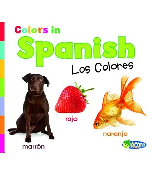 Colors in Spanish: Los Colores