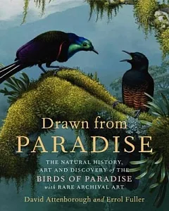 Drawn From Paradise: The Natural History, Art and Discovery of the Birds of Paradise
