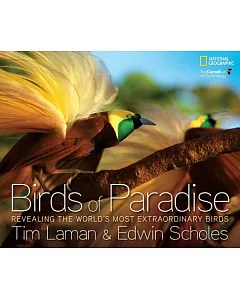Birds of Paradise: Revealing The World’s Most Extraordinary Birds