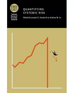 Quantifying Systemic Risk