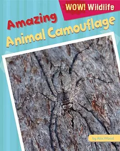 Amazing Animal Camouflage