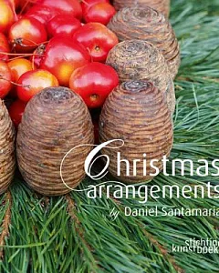 Christmas Arrangements by Daniel santamaria