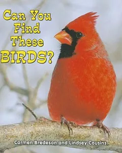 Can You Find These Birds?