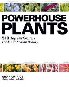 Powerhouse Plants: 510 Top Performers for Multi-Season Beauty