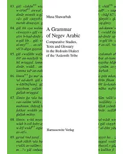A Grammar of Negev Arabic: Comparative Studies, Texts and Glossary in the Bedouin Dialect of the ’Azazmih Tribe