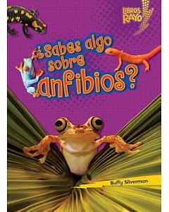 +Sabes algo sobre anfibios?/ Do You Know About Amphibians?