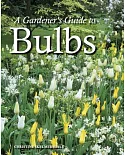 A Gardener’s Guide to Bulbs