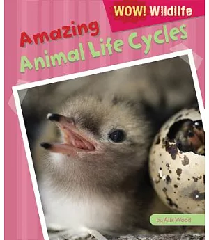 Amazing Animal Life Cycles