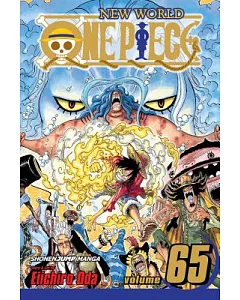 One Piece 65
