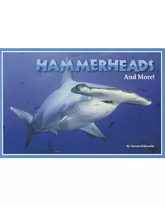 Hammerheads and More!
