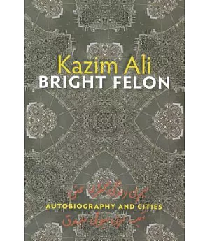 Bright Felon: Autobiography and Cities