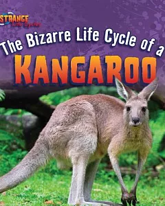 The Bizarre Life Cycle of a Kangaroo