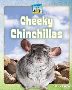 Cheeky Chinchillas