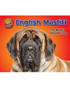 English Mastiff: The World’s Heaviest Dog