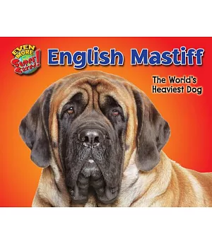 English Mastiff: The World’s Heaviest Dog