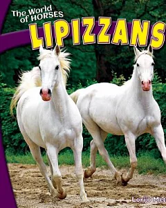 Lipizzans