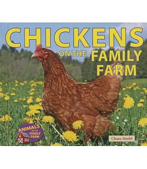 Chickens on the Family Farm