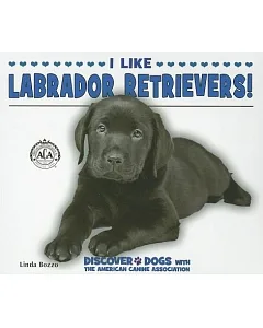 I Like Labrador Retrievers!