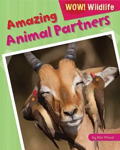 Amazing Animal Partners