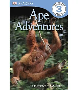 Ape Adventures